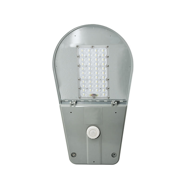 LEDMZ6 안정성 LED 가로등